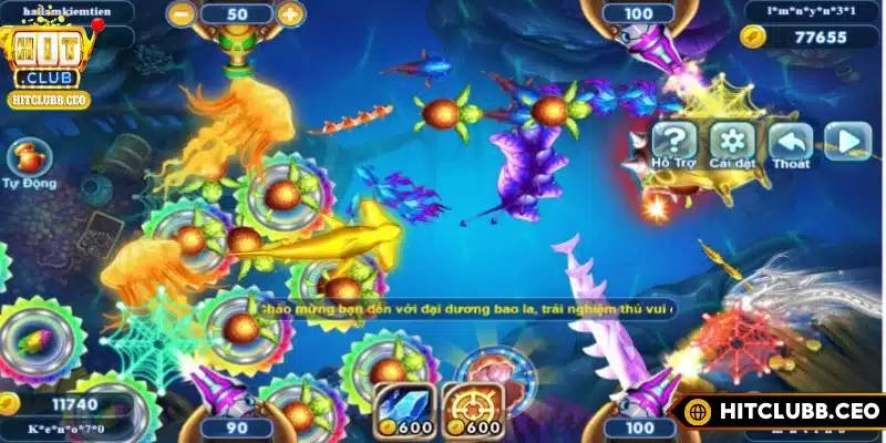 Điểm nhấn thu hút người tham gia