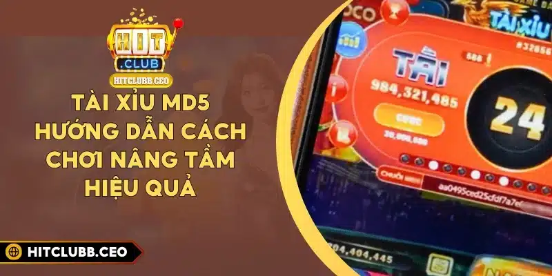Tài Xỉu MD5 - Hướng Dẫn Cách Chơi Nâng Tầm Hiệu Quả